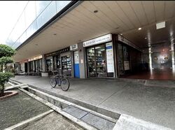 Jalan Besar Stadium (D8), Shop House #504189661